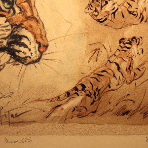 PIETRO PIETRA (Bologna 1885 – 1956) Tigre, disegno tecnica mista su carta
